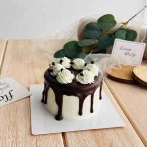 Chocolate Mint Cake 薄荷巧克力