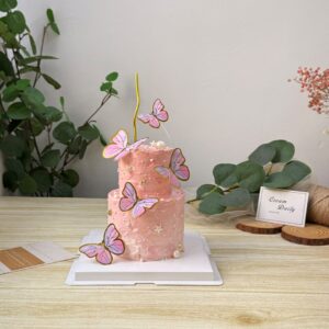 Mini 2 Tier - Pink Purple Butterfly Cake