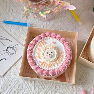 Bento cake- CUTE ANIMAL