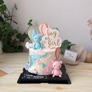 Gender Reveal _ Bears And Hot-air Balloon